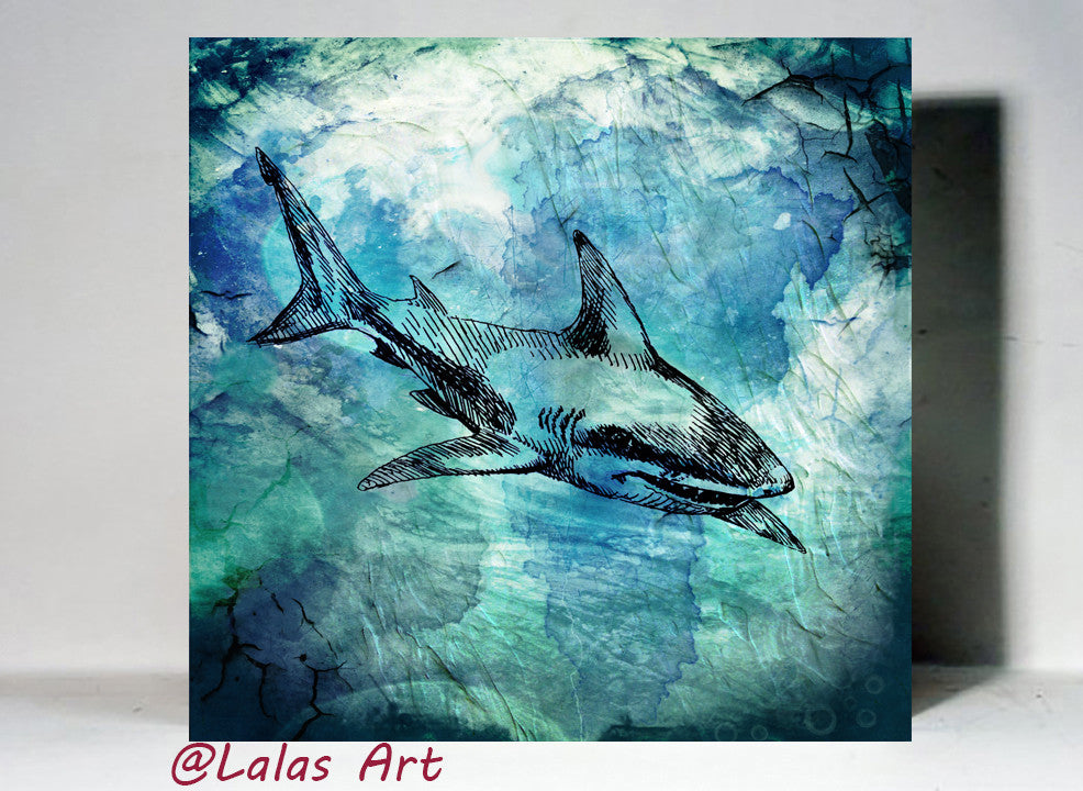 great white shark art